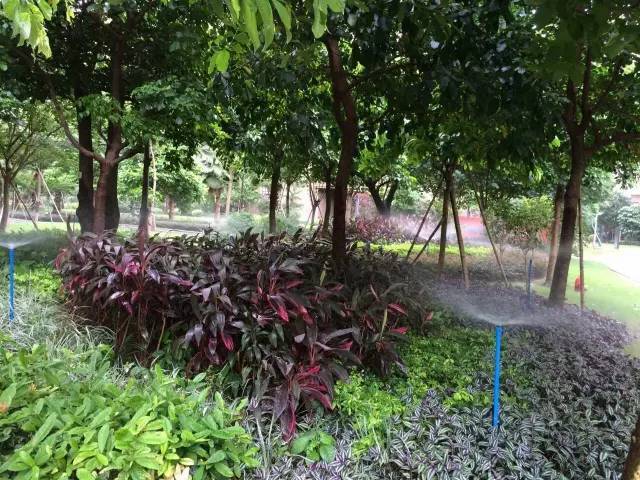 智能自动化喷灌系统 智能自动化喷灌系统